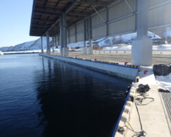 着工前(2) 防舷材