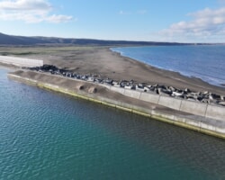 着工前(1) 南防波堤