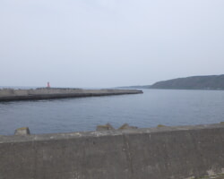 1.着工前(仮置箇所)