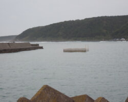 2.完成(仮置箇所)