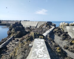 【仮設工】着工前(1)